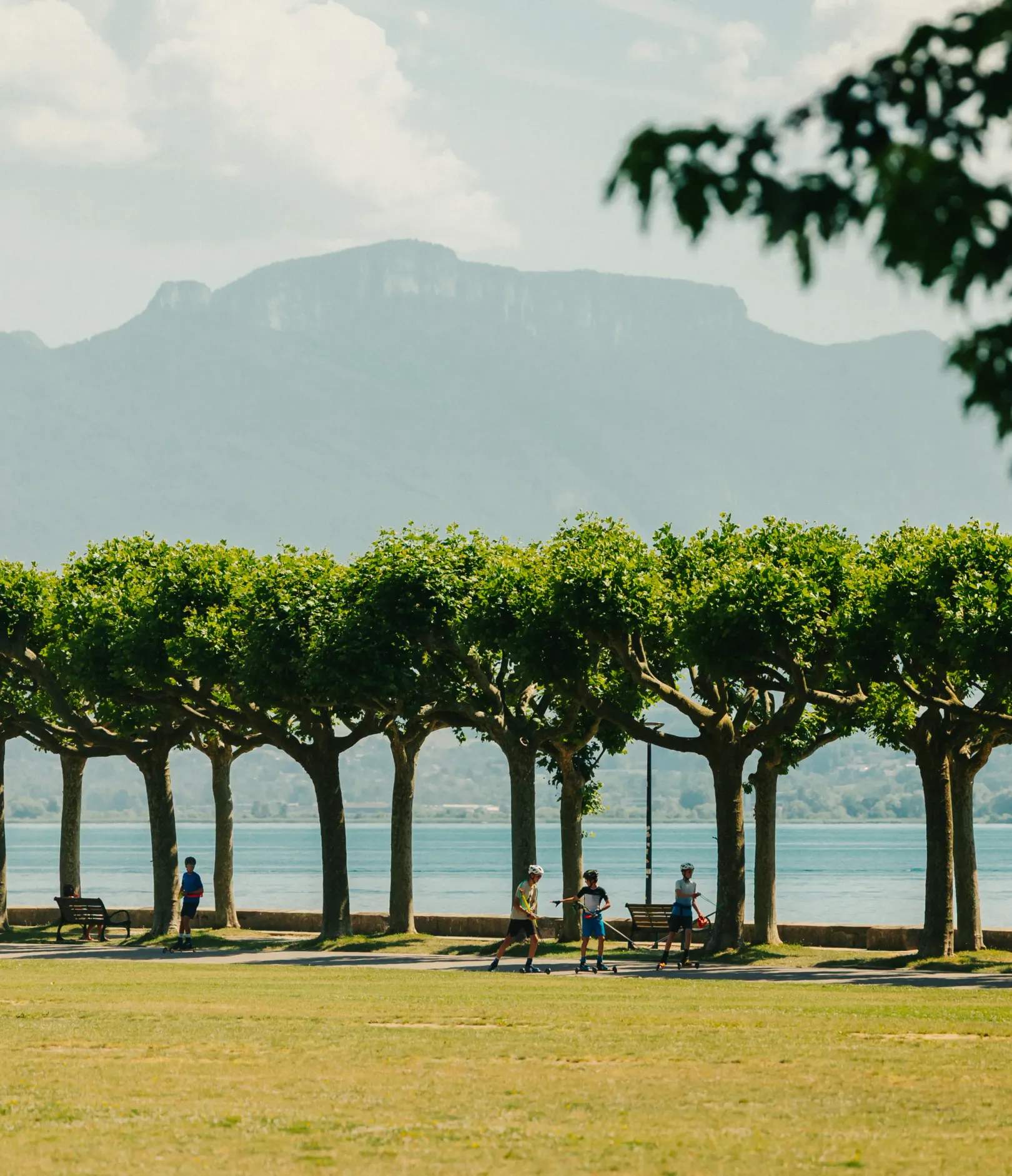 Menschen spazieren und ruhen sich unter einer Allee von Bäumen in der Nähe eines Sees mit Bergen im Hintergrund aus.