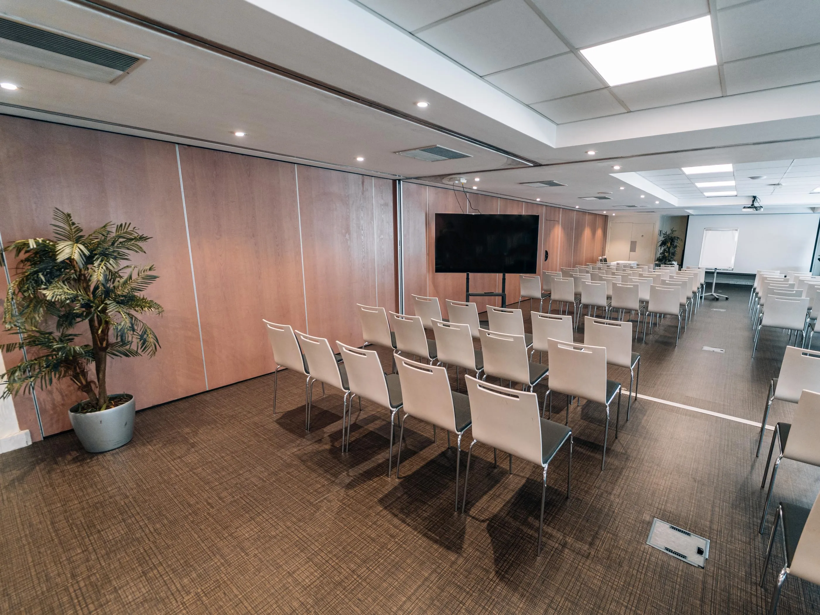Salle de réunion avec des rangées de chaises blanches, un écran et une plante en pot près du mur